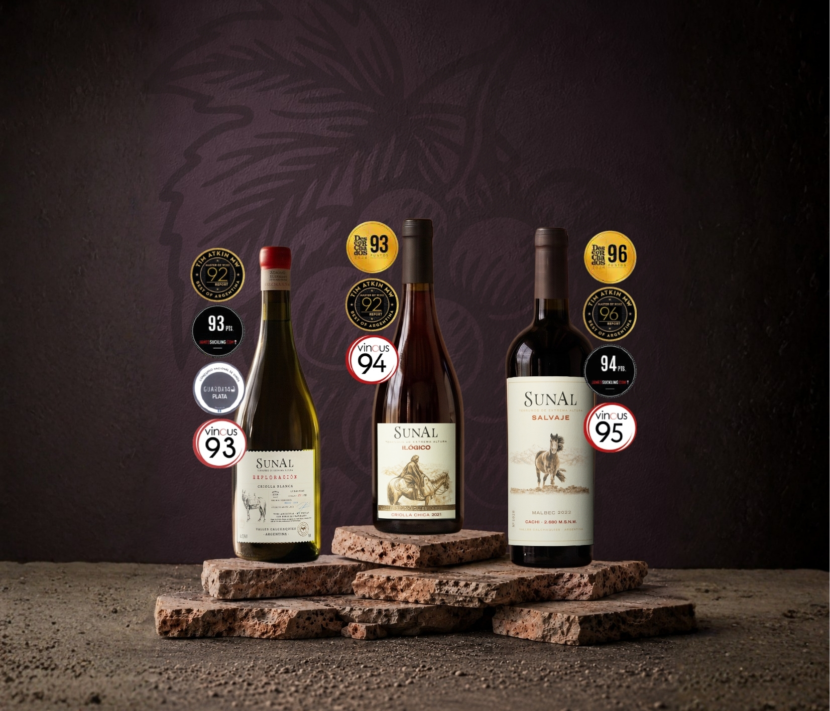 Selección de vinos de la Línea Sunal frente a los Valles Calchaquíes